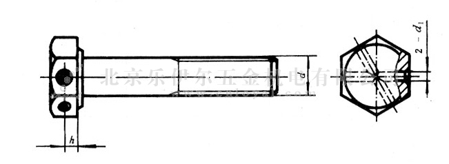 GB/T 32.1-88 六角头